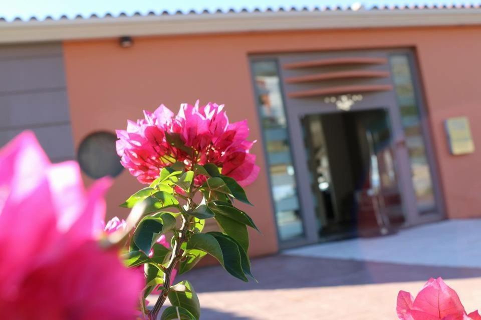 Thalassa Hotel & Spa Palairos Exterior photo